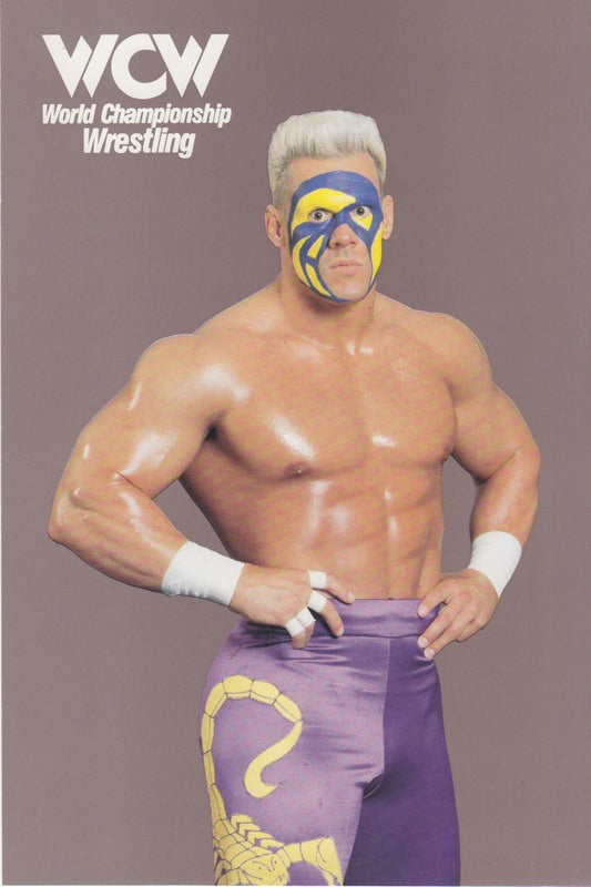 1991 WCW Magazine Sendaway Photocard Set (6"x9") (4) Nm approx 2017 value:$60