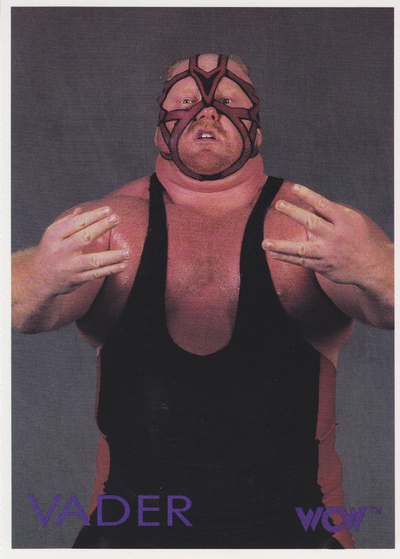 1993 WCW Magazine Sendaway Card (5"x7") Set (4) Nm approx 2017 value:$50 PW Catalog