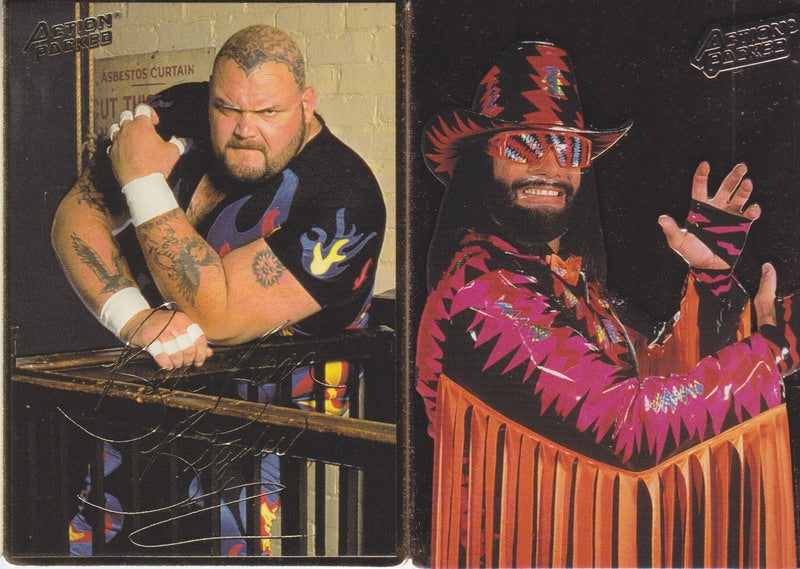 1994 Action Packed WWF Trading Cards Set (42+2 Promos) Nm approx 2017 value: $40 PW Catalog