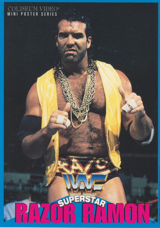 1994 Coliseum Video WWF Mini-Poster Set (5) Nm Approx 2017 value:$5