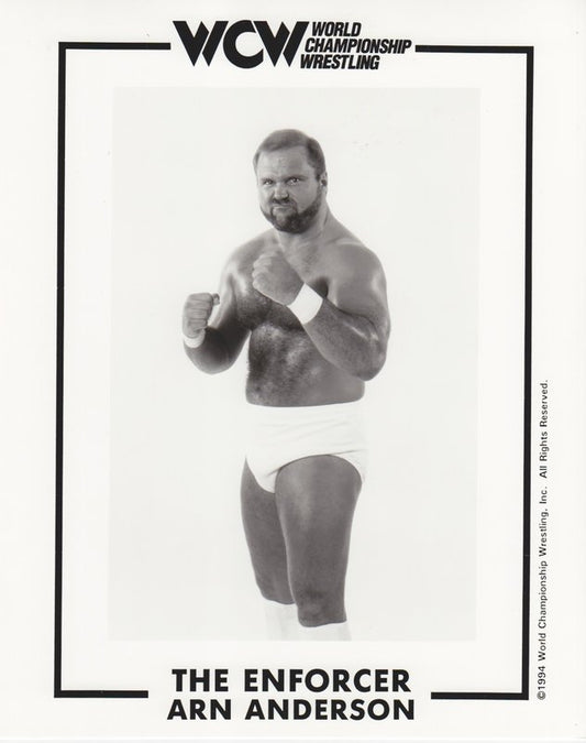 WCW The Enforcer Arn Anderson 