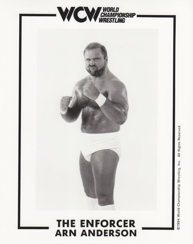 WCW The Enforcer Arn Anderson PW Catalog