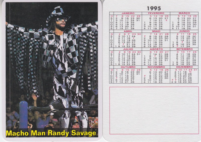 1995 WWF Calendar Cards Set (12) Nm approx 2017 value:$10