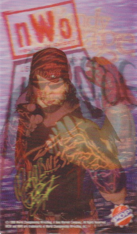 1998 American Pop Inc. WCW/NWO 3D Trading Cards Set (3) Nm approx 2017 value:$5 PW Catalog