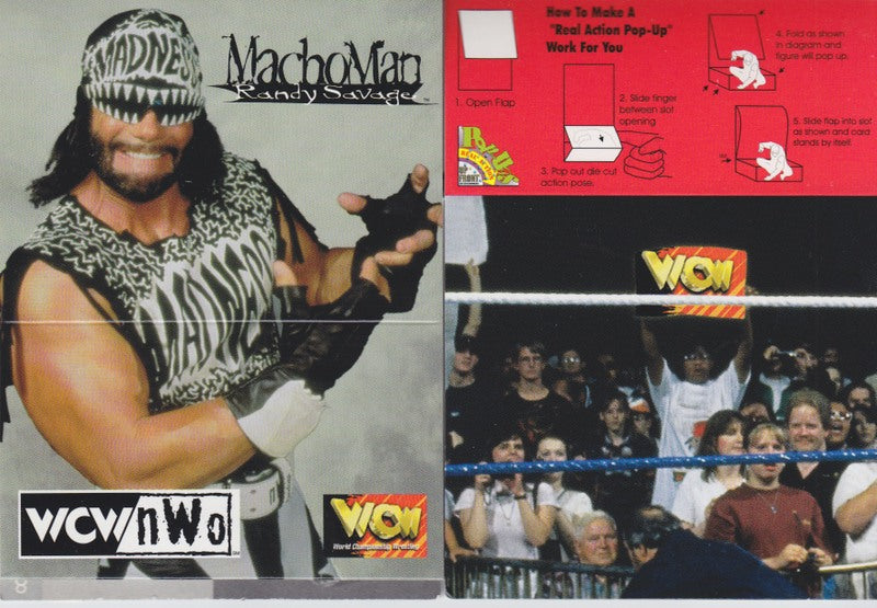 1998 Up Front Sports WCW/NWO Pop-Up Real Action Cards Set (10) Nm approx 2017 value:$10 PW Catalog