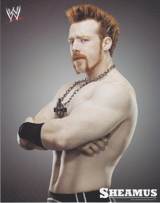 2010 Sheamus WWE Promo Photo