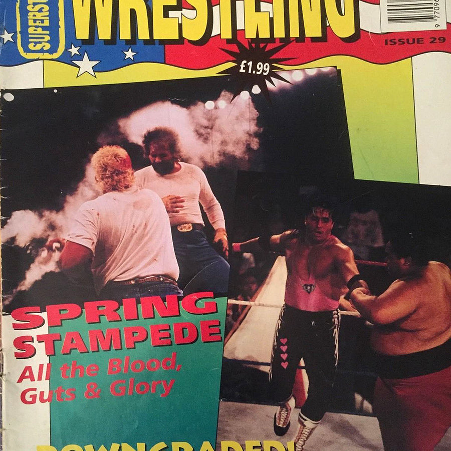 Superstars of Wrestling Volume 29 Magazine PWcatalog