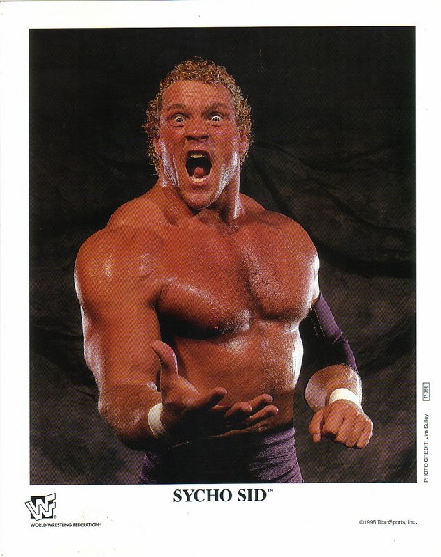 1996 Sycho Sid P356 color PW Catalog