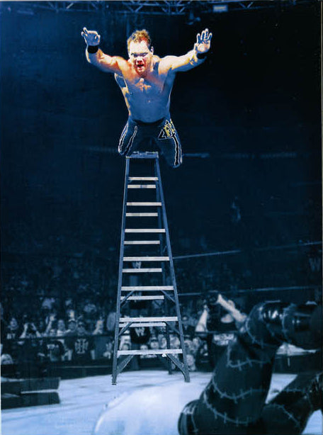 the ladder match DVDs & Videos Pwcatalog