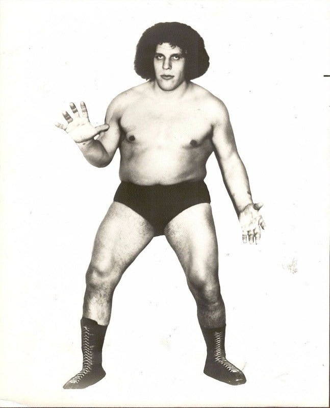 1970's NWA Andre the Giant Promo Photo PWcatalog