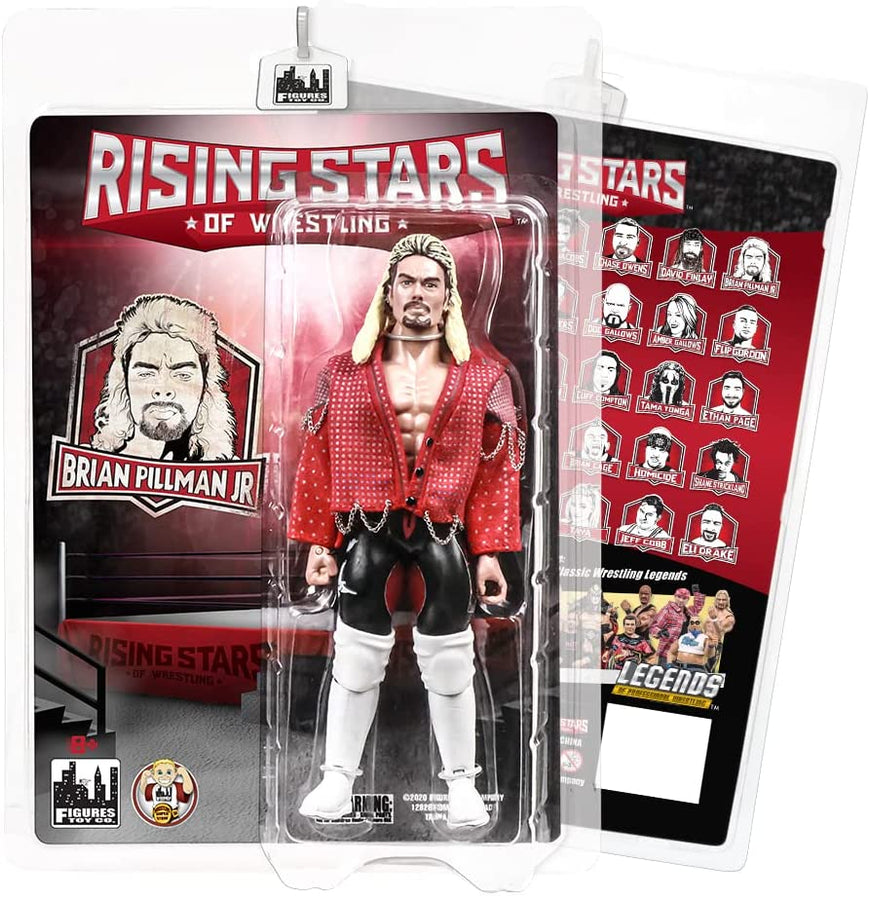 FTC Rising Stars of Wrestling Brian Pillman Jr. Action & Toy Figures PWcatalog