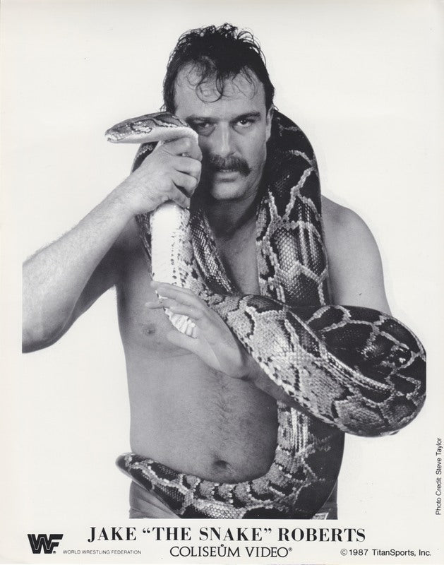 1987 Jake the Snake Coliseum Video PWcatalog