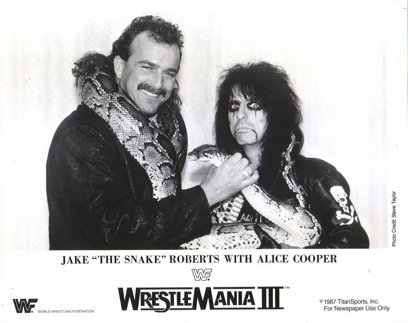 1987 Jake "The Snake" Roberts Alice Cooper WM3 PWcatalog