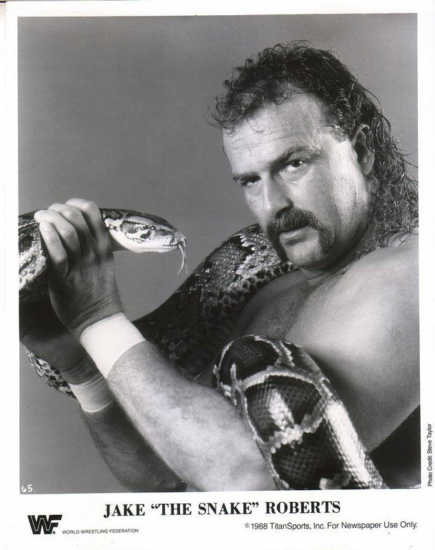 1988 Jake"The Snake" Roberts PWcatalog