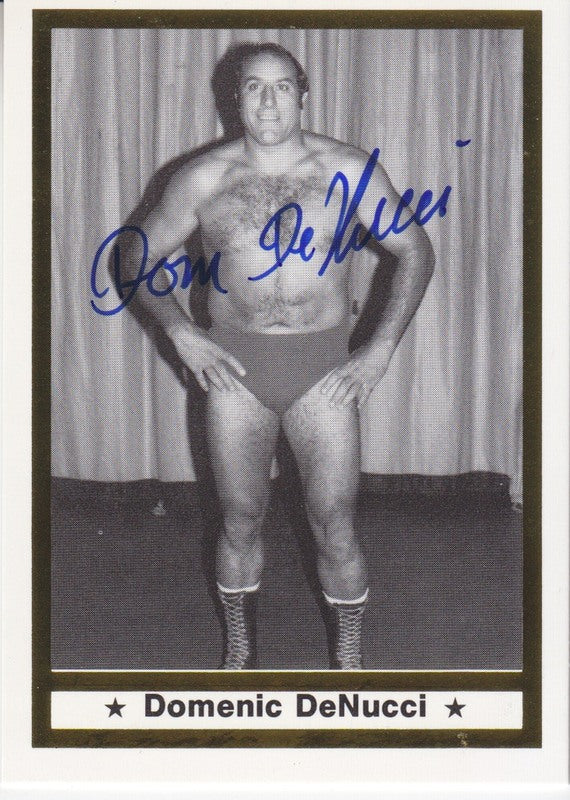 1991 Imagine Dominic DeNucci Autograph 2017 approx value:$35 PW Catalog