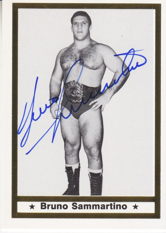 1991 Imagine Bruno Sammartino Autograph 2017 approx value:$75 PW Catalog