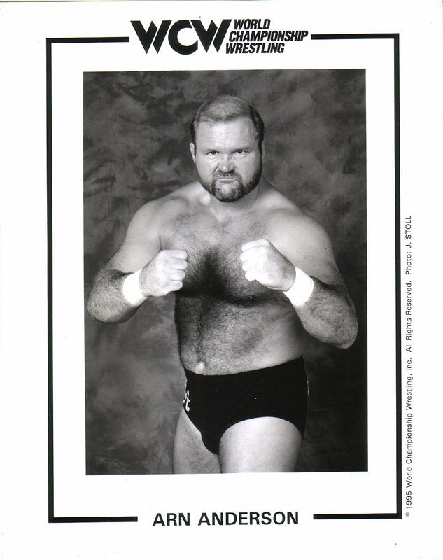 WCW Arn Anderson 