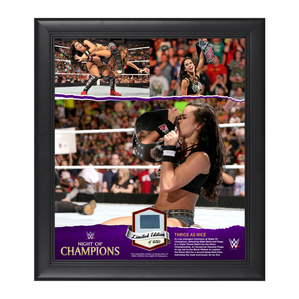 AJ Lee Night of Champions Commemorative Framed Ring Canvas Plaque