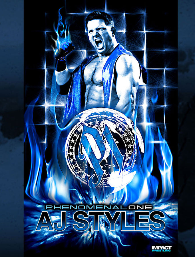 AJ Styles Banner Pwcatalog