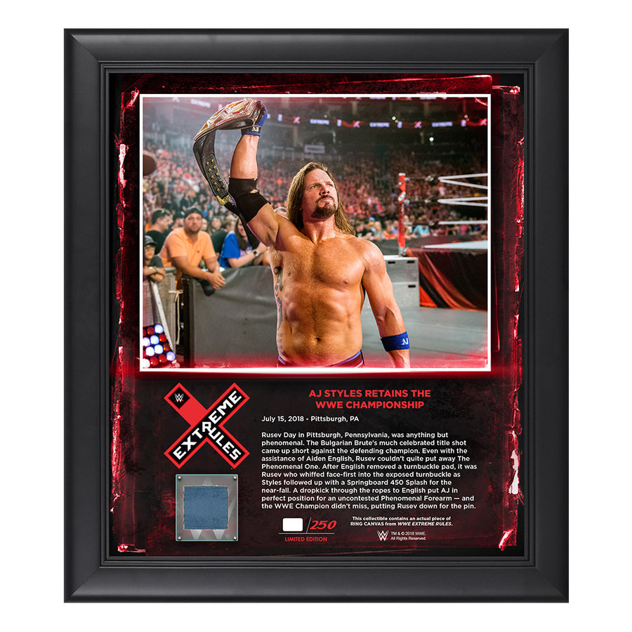 AJ Styles Extreme Rules 2018 15 x 17 Framed Plaque w Ring Canvas Pwcatalog