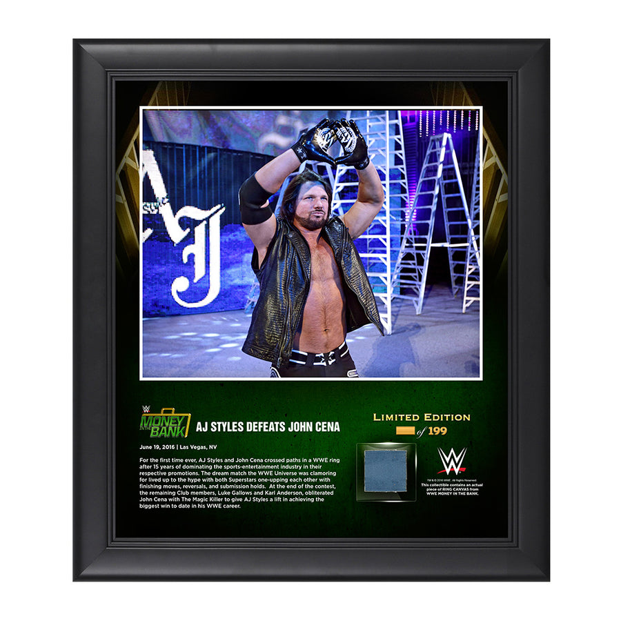 AJ Styles Money In The Bank 2016 15 x 17 Framed Photo Pwcatalog