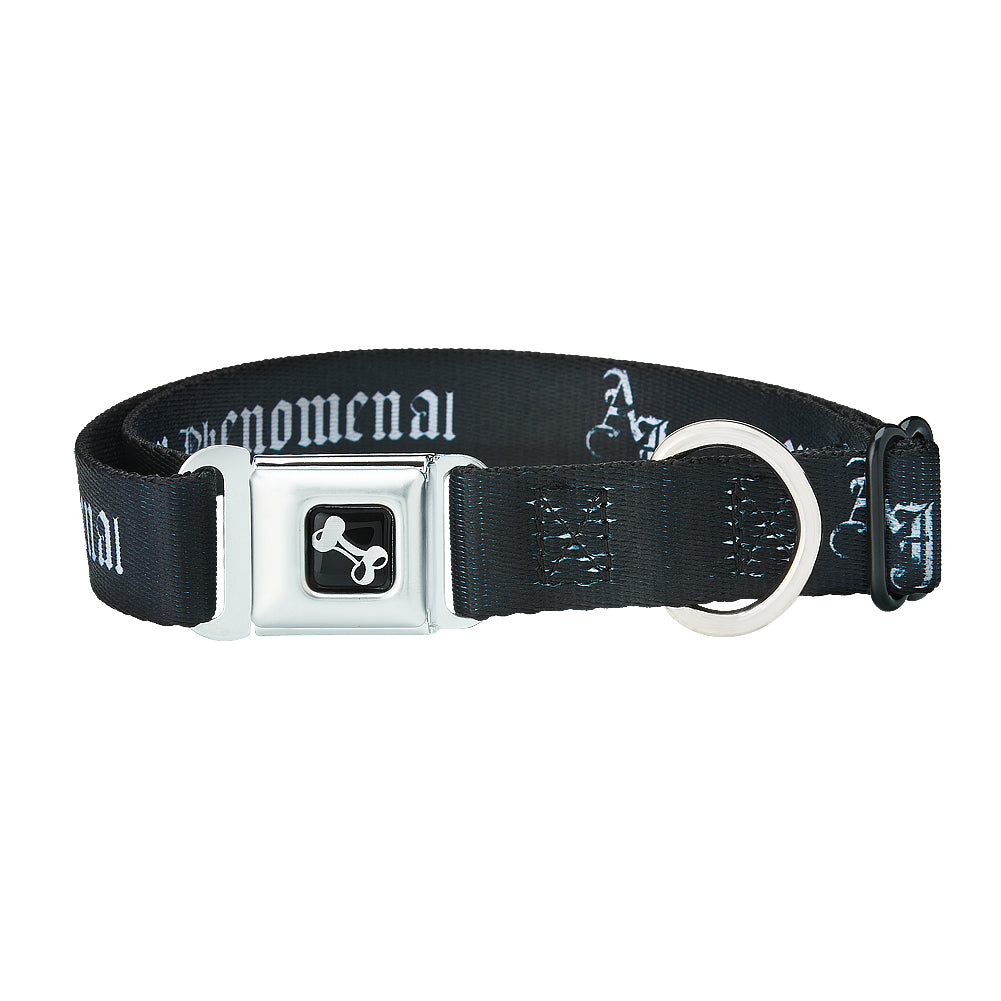 AJ Styles P1 Dog Collar Pwcatalog