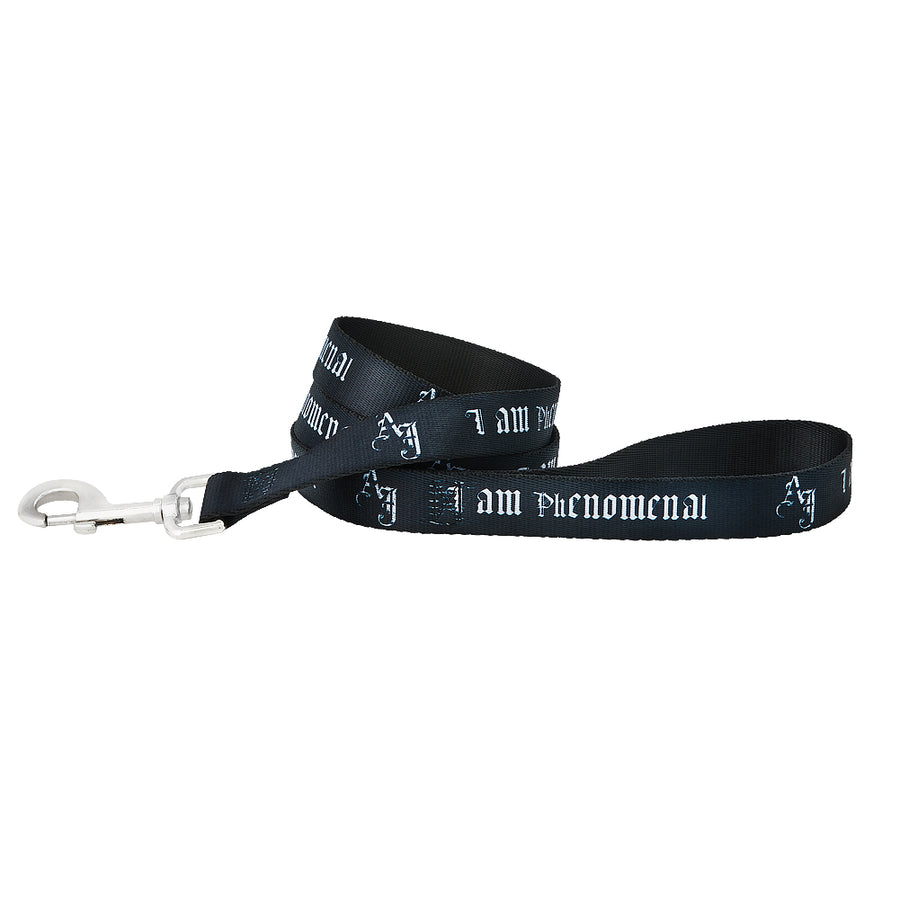 AJ Styles P1 Dog Leash Pwcatalog