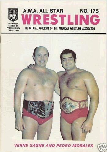 AWA All Star 1976 Magazine PWcatalog
