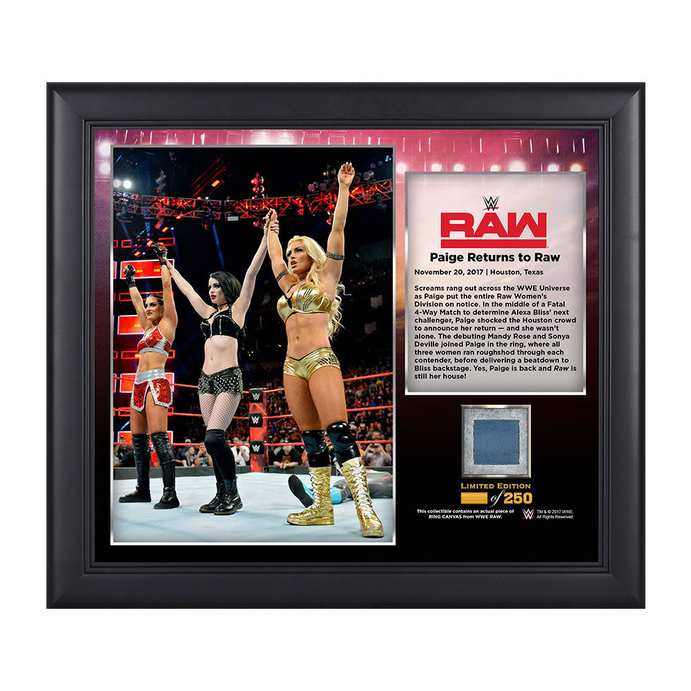 Absolution Raw Debut 15 x 17 Framed Plaque w Ring Canvas Pwcatalog