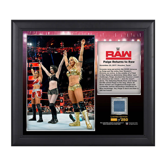 Absolution Raw Debut 15 x 17 Framed Plaque w Ring Canvas Pwcatalog