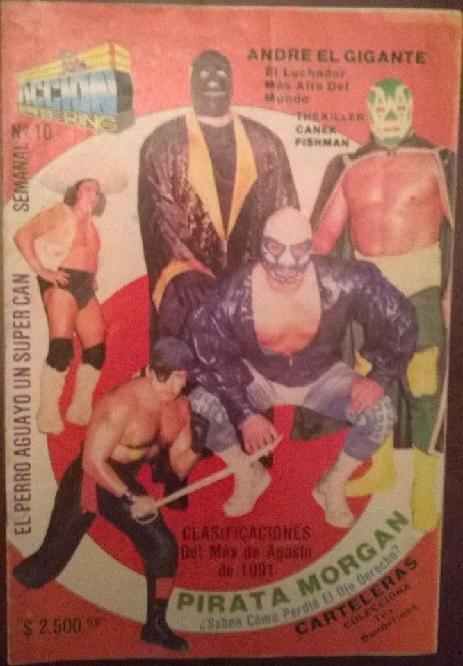 Accion En El Ring 10 Magazine PWcatalog