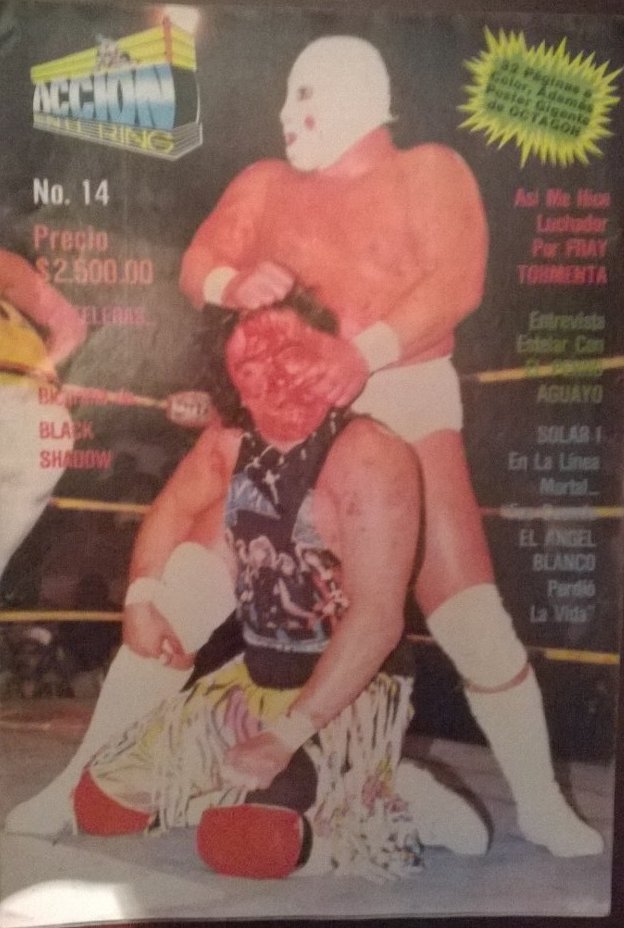 Accion En El Ring 14 Magazine PWcatalog