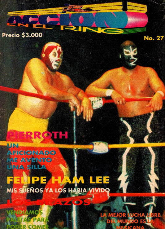 Accion En El Ring 27 Magazine PWcatalog