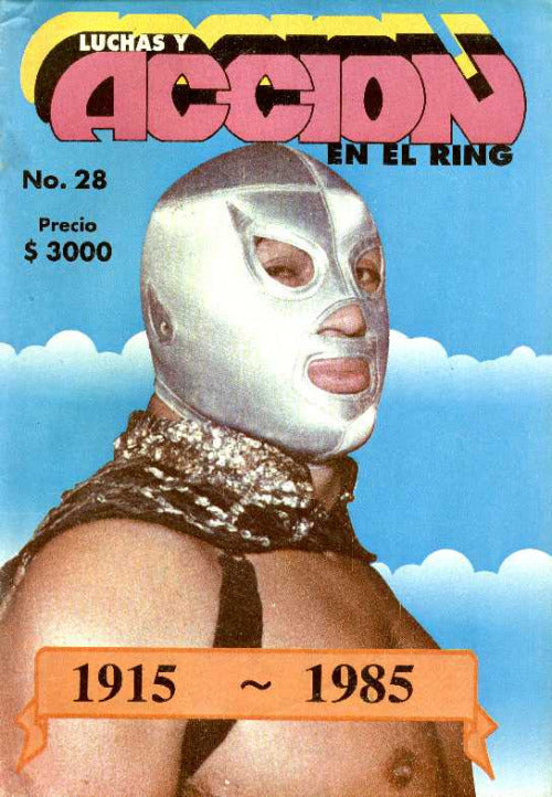 Accion En El Ring 28 Magazine PWcatalog