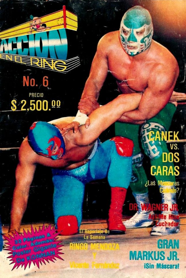 Accion En El Ring 6 Magazine PWcatalog