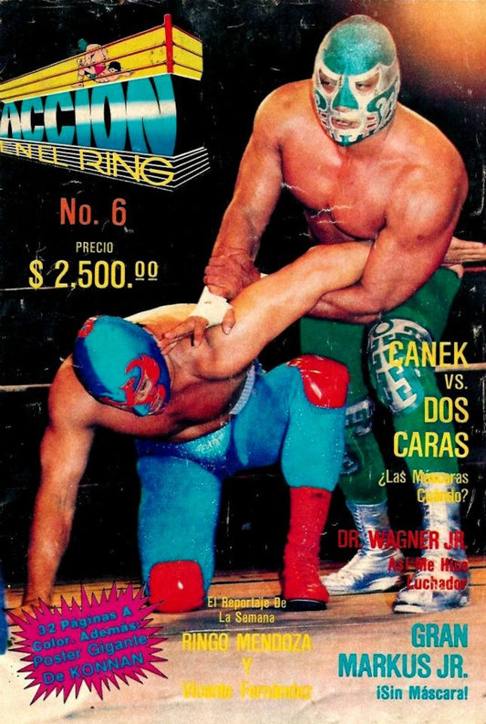 Accion En El Ring 6 Magazine PWcatalog