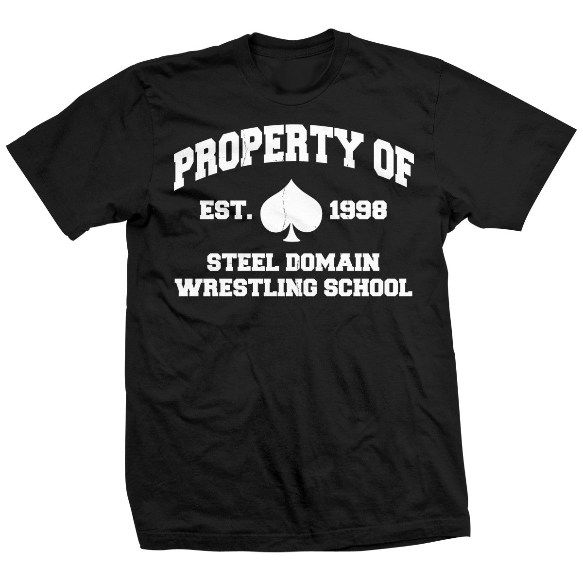 Ace Steel Property of Steel Domain Shirt Pwcatalog