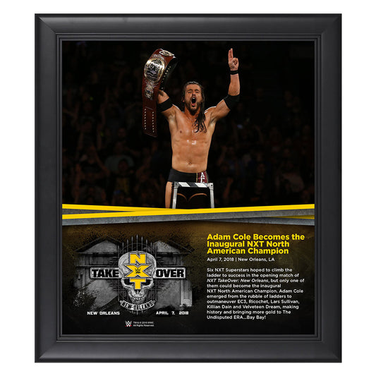 Adam Cole NXT TakeOver New Orleans 15 x 17 Framed Plaque
