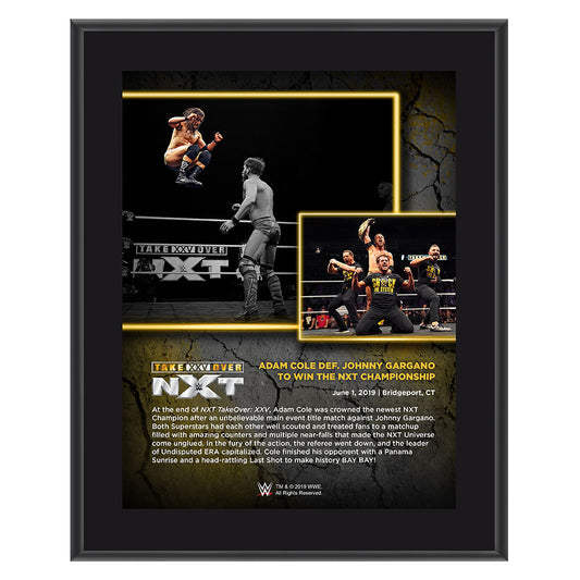 Adam Cole NXT TakeOver XXV 10 x 13 Commemorative Plaque