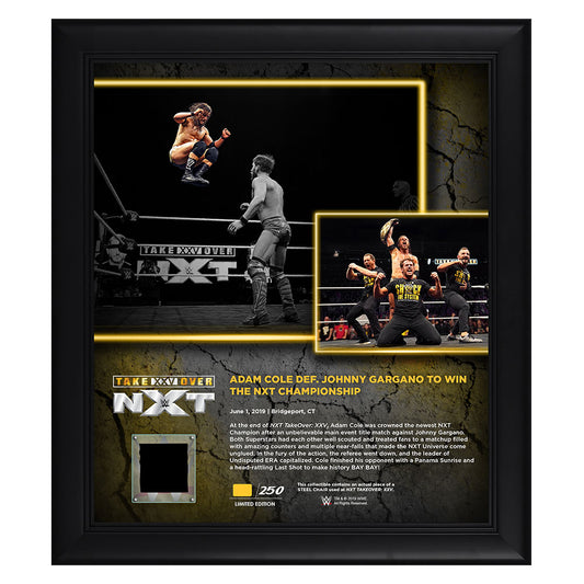 Adam Cole NXT TakeOver XXV 15 x 17 Framed Plaque w Steel Chair