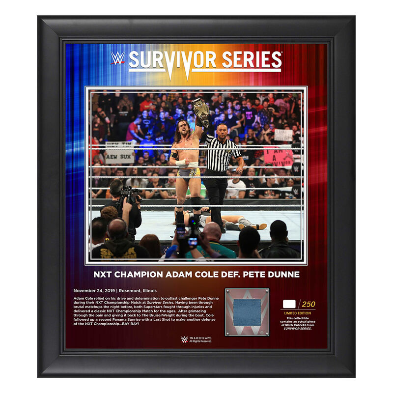 Adam Cole Survivor Series 2019 15x17 Limited Edition Plaque