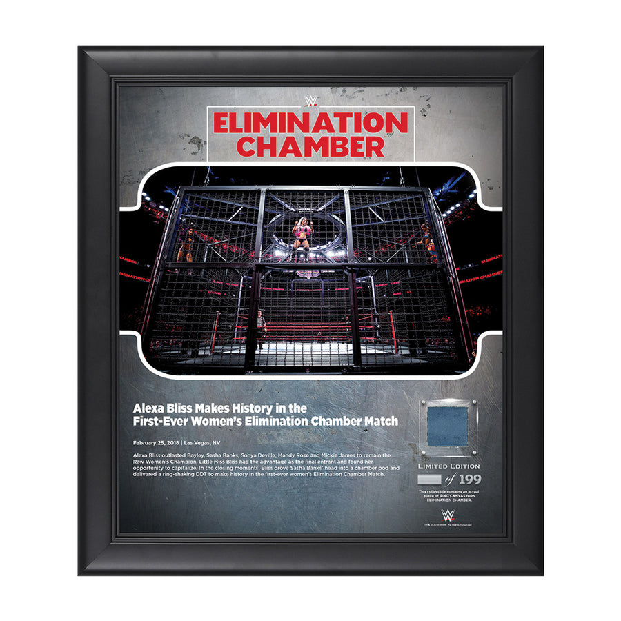 Alexa Bliss Elimination Chamber 2018 15 X 17 Framed Plaque w Ring Canvas Pwcatalog