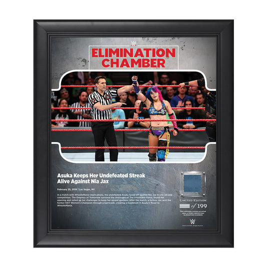 Asuka Elimination Chamber 2018 15 x 17 Framed Plaque w Ring Canvas