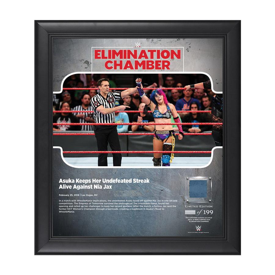 Asuka Elimination Chamber 2018 15 x 17 Framed Plaque w Ring Canvas Pwcatalog