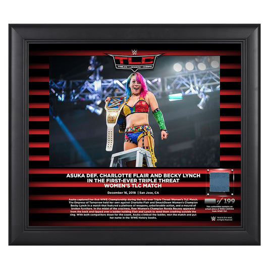Asuka TLC 2018 15 x 17 Framed Plaque w Ring Canvas