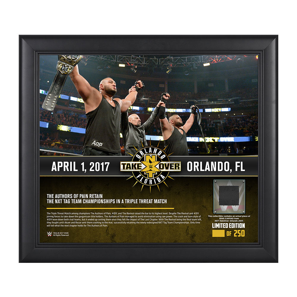 Authors of Pain NXT TakeOver Orlando 15 x 17 Framed Plaque w Ring Canvas Pwcatalog