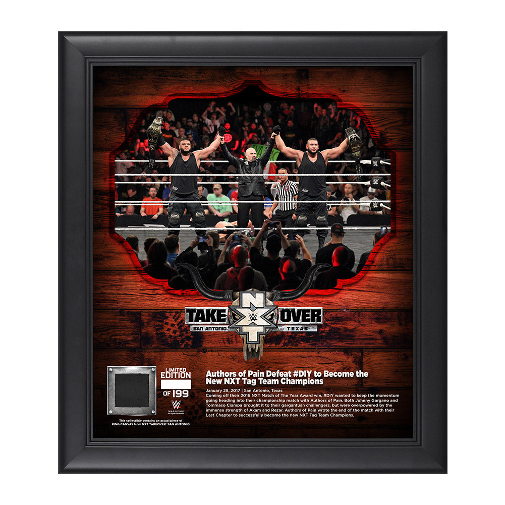 Authors of Pain NXT TakeOver San Antonio 15 x 17 Framed Plaque w Ring Canvas Pwcatalog