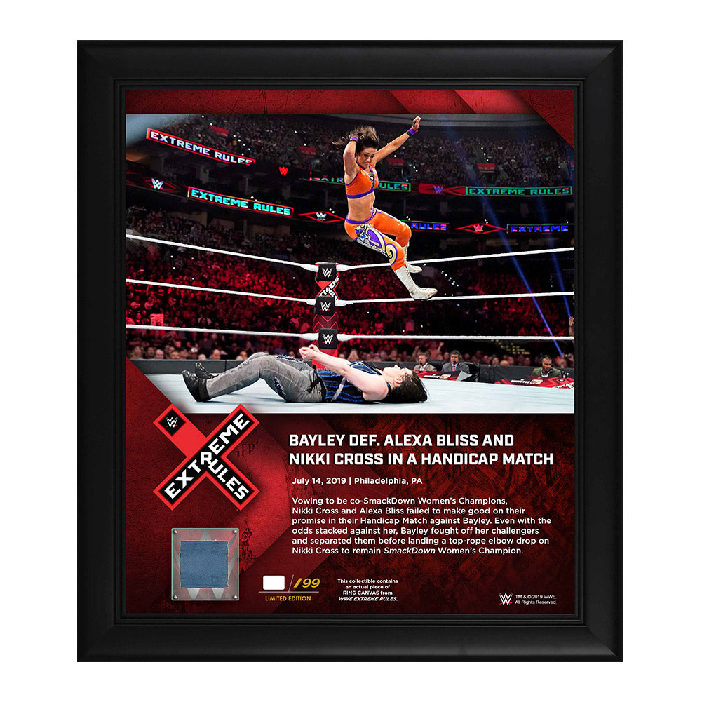 Bayley Extreme Rules 2019 15 x 17 Framed Plaque w Ring Canvas Pwcatalog