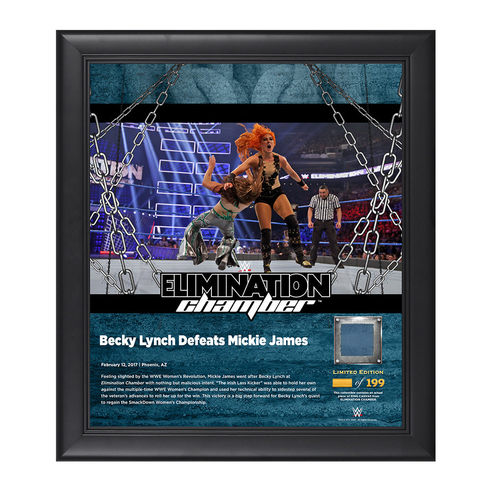 Becky Lynch Elimination Chamber 2017 15 x 17 Framed Plaque w Ring Canvas Pwcatalog