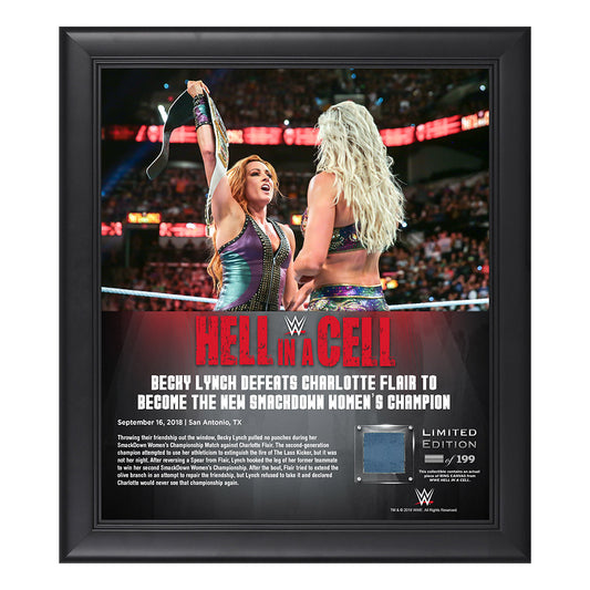 Becky Lynch Hell in a Cell 2018 15 x 17 Framed Plaque w Ring Canvas